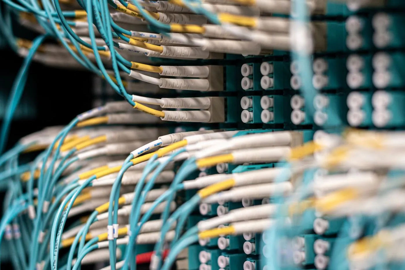 Network cables terminated in a patch panel